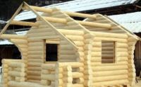 Protectia completa a lemnului impotriva cariilor, insectelor si ciupercilor